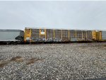 TTGX 256130